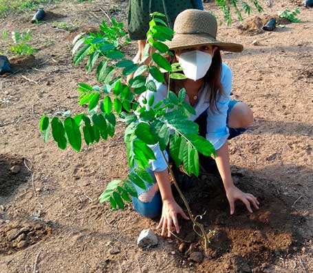 reforetacion1